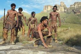 Image result for homo sapiens