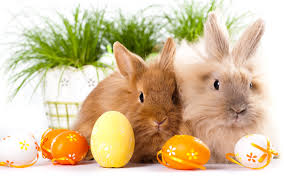 Résultat de recherche d'images pour "easter bunny"