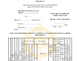 Hình ảnh về Báo cáo tình hình sử dụng lao động và danh sách tham gia BHXH, BHYT, BHTN (mẫu D02LT)