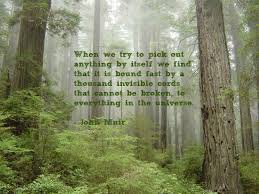 quotes | AIMEELOVESYOU (the rainbow farmer) via Relatably.com