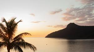 News source: The Australian