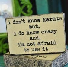 funny-quotes- about karate | Cute Love Quotes via Relatably.com