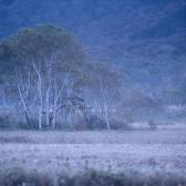 Oze National Park