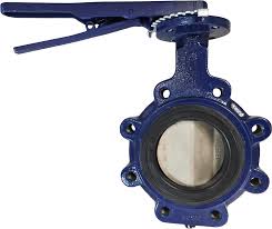 Butterfly Valve, Lug Style, 6IN, CI Body, 316SS Disc, EPDM ...