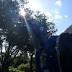 Three neighborhoods rally to makeSt.Peterecycling more flexible...