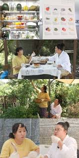 네이트 뉴스 - News update