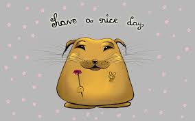 Image result for nice day