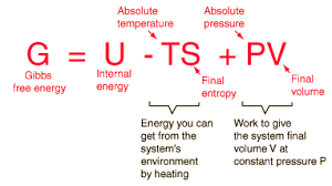 Image result for free energy