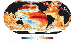 Oceanos batem recorde histórico de temperatura e Super El-Niño deve elevar níveis a 'nunca vistos', alerta Copernicus