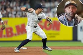 Preocupación por Volpe: ¿Los Yankees Están Desperdiciando su Talento? - Imagen principal del artículo