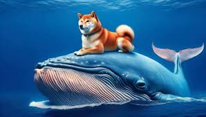 نهنگ‌ها ۴۰۰ میلیون دوج‌کوین خریدند؛ آیا DOGE آماده جهش است؟