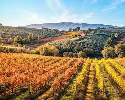 Immagine di Umbria in autunno