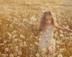 Image result for legal vault image