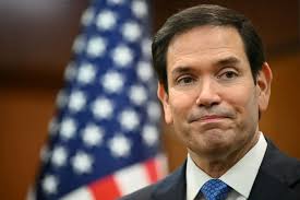 Washington Examiner - News update