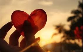 Resultado de imagem para imagens lindas