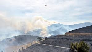 “Cerbère Fire Update: 950 Hectares Burned, Blaze on Track for Stabilization, Says Prefect”