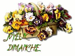 Résultat de recherche d'images pour "fleur dimanche"