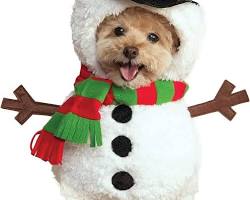 dog wearing a snowman onesieの画像