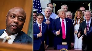 MSNBC News - News update