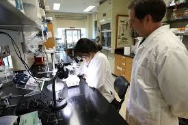 Baylor University Research Initiative