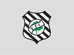 Resultado de imagem para foto de figueirense no último jogo