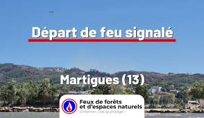 Feux de forêt - News update