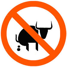 Myndaniðurstaða fyrir no