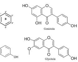 Isoflavones