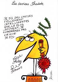 Résultat de recherche d'images pour "gifs shadoks"