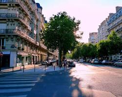 Hình ảnh về Treelined streets in Paris