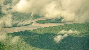 COP30: Brasil no Centro do Combate Climático! Empresas Vão Investir?