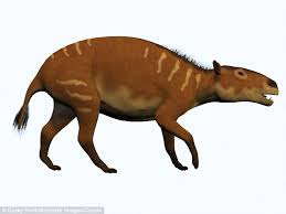 Image result for HORSE