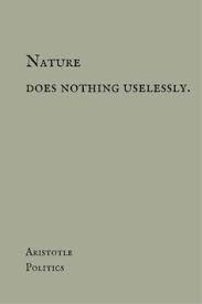 Aristotle Quotes on Pinterest | Lying Husband, Eye Opening Quotes ... via Relatably.com