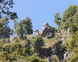 Image of Camel's Back Road, Mussoorie