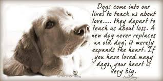 imagines and quotes about dogs | Dog Quotes Death http ... via Relatably.com