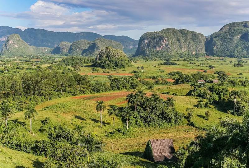 Vinales