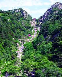 Image result for 泰山