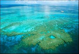 Image result for pictures gallery for amazing wonders of the world
