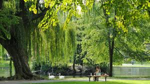 guide des horaires des équipements à Montpellier lors des fériés de mai