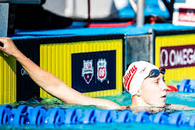 Trend Google: swimming
