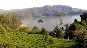 Image result for Danau Situ Patenggang