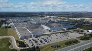 Trend Google: brampton