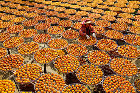 Dried persimmon 