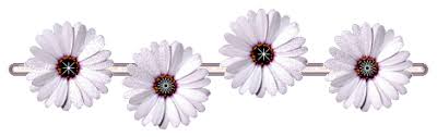 images?q=tbn:ANd9GcRFQJXHXW9cupw7J3N3cAM