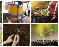 Imagen de Té de compost