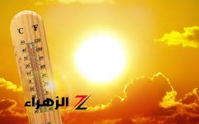 بوابة الزهراء - News update