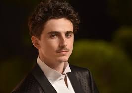 Timothee Chalamet Shines In Box Office After Scooping Up The Awards Season