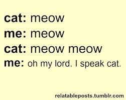 Oh my lord. I speak cat. | me likes :) | Pinterest | Cat, Funny ... via Relatably.com