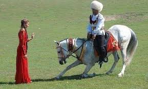 Image result for IRAN HORSES