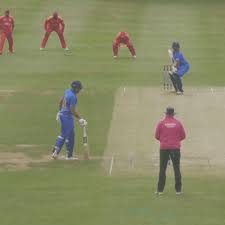 Cricket Action Image